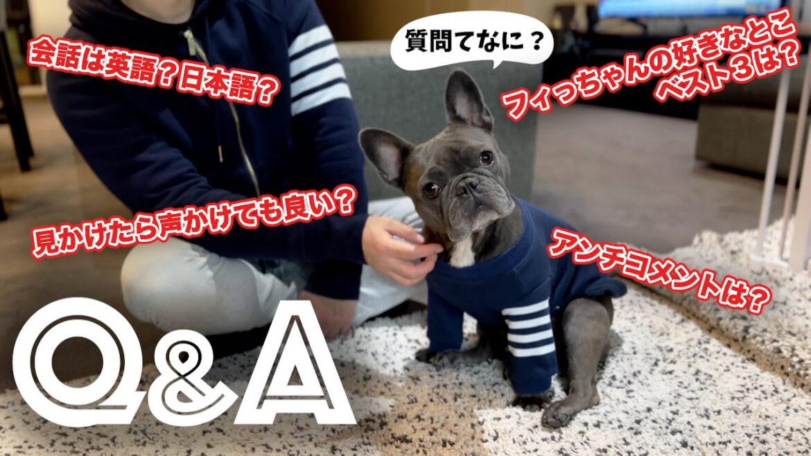 【Q＆A】初めての質問コーナー！視聴者さんからのご質問に色々と答えてみました…