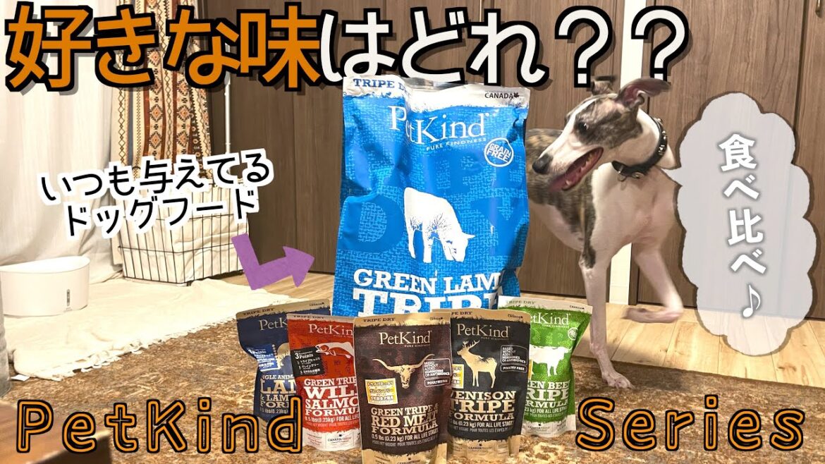 好きなフードを選んでもらった！【まさかの結果！】