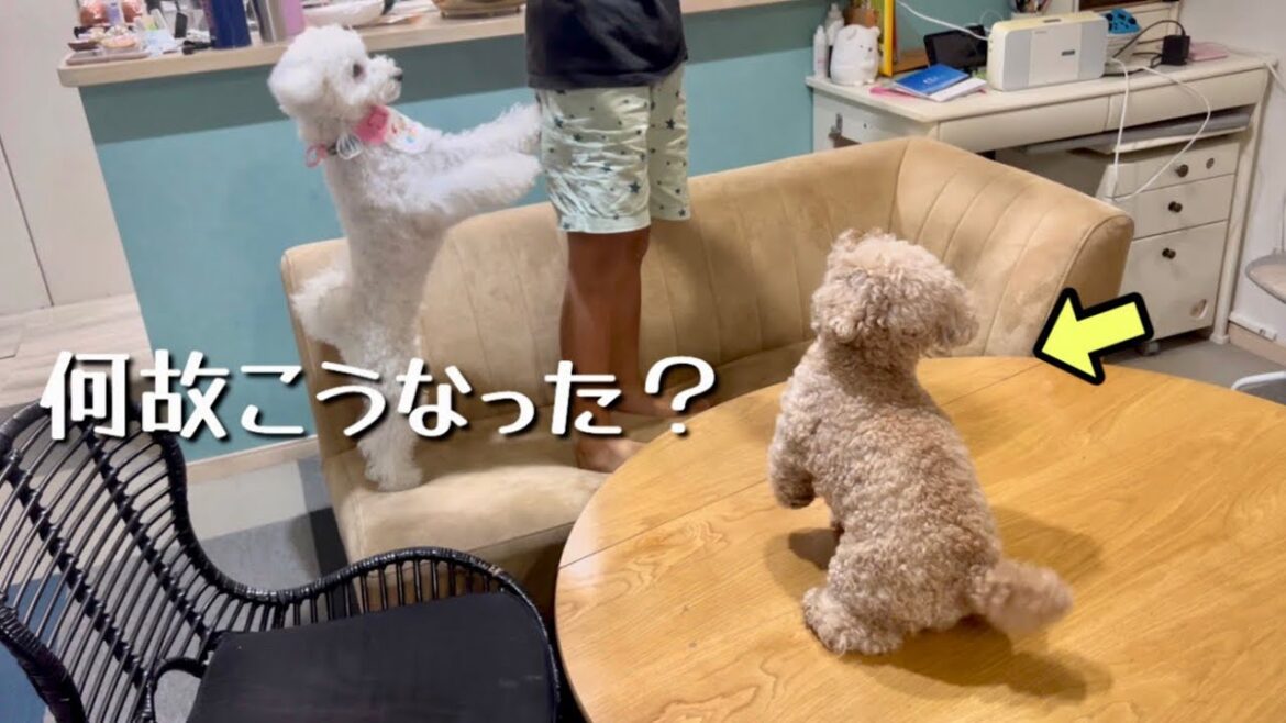 誕生日パーティー中にまさかの出来事に一同呆然ww