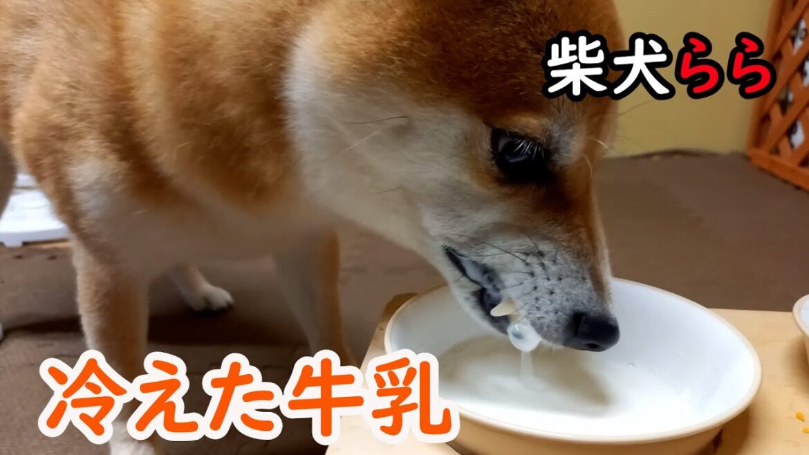 冷えた牛乳