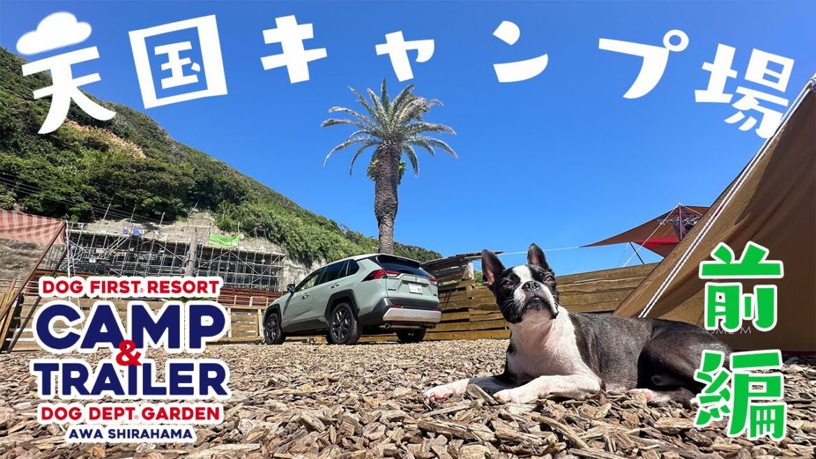【ボストンテリア】天国キャンプ場(前編)|DOG DEPT GARDEN CAMP 安房白浜 【ボストンテリア】天国キャンプ場(前編)|DOG DEPT GARDEN CAMP 安房白浜