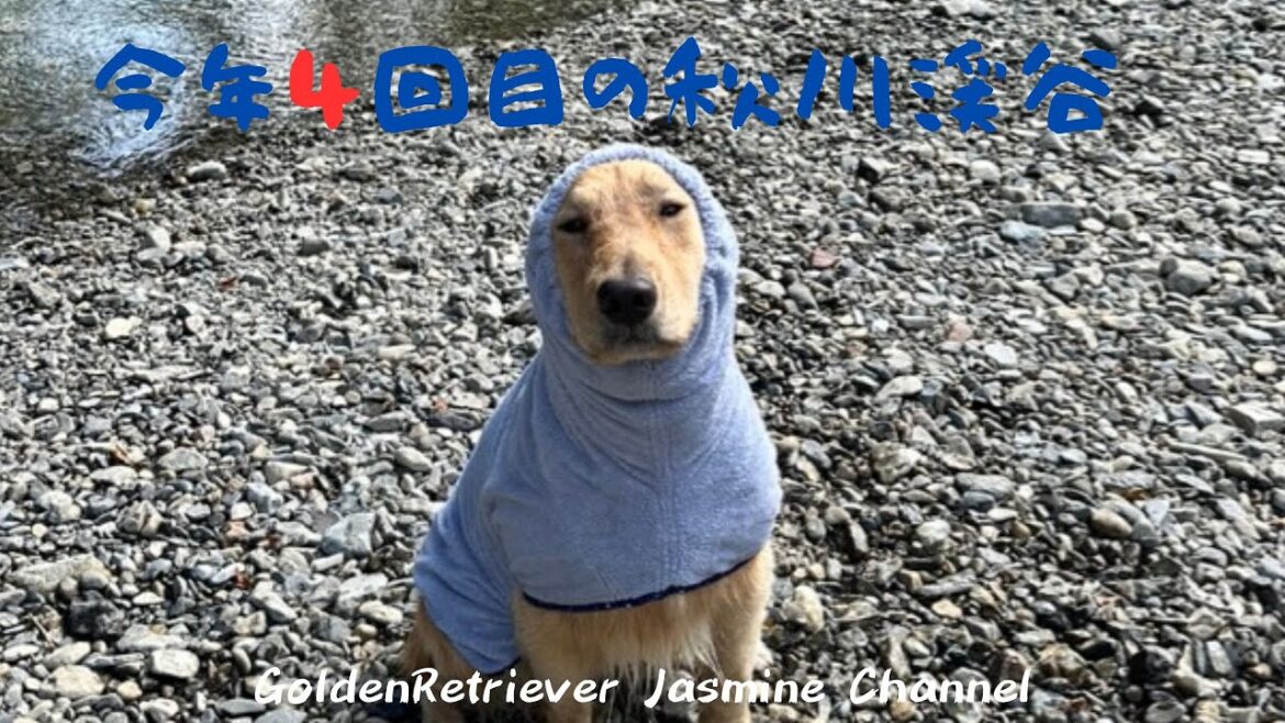 今年4回目の秋川渓谷