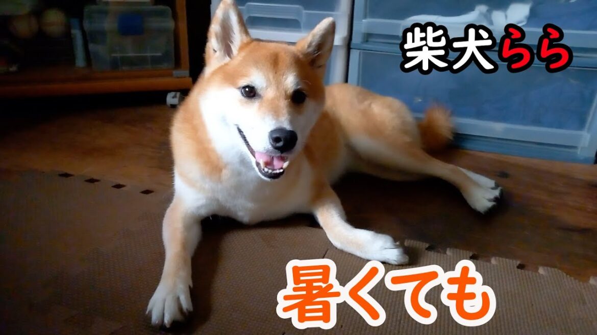 暑くても