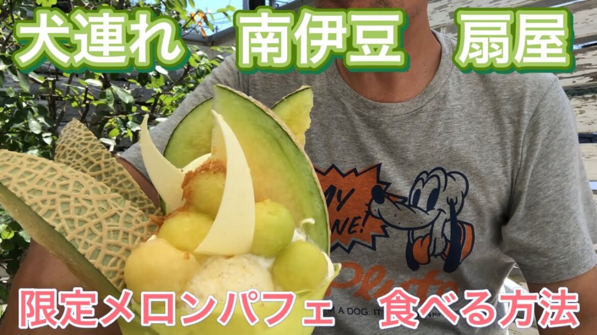【#犬連れ #ドライブ 】#南伊豆 #扇屋 限定 #メロン パフェ 食べる方法 #ワイヤーフォックステリア #ダックスフンド 【#犬連れ #ドライブ 】#南伊豆 #扇屋 限定 #メロン パフェ 食べる方法 #ワイヤーフォックステリア #ダックスフンド