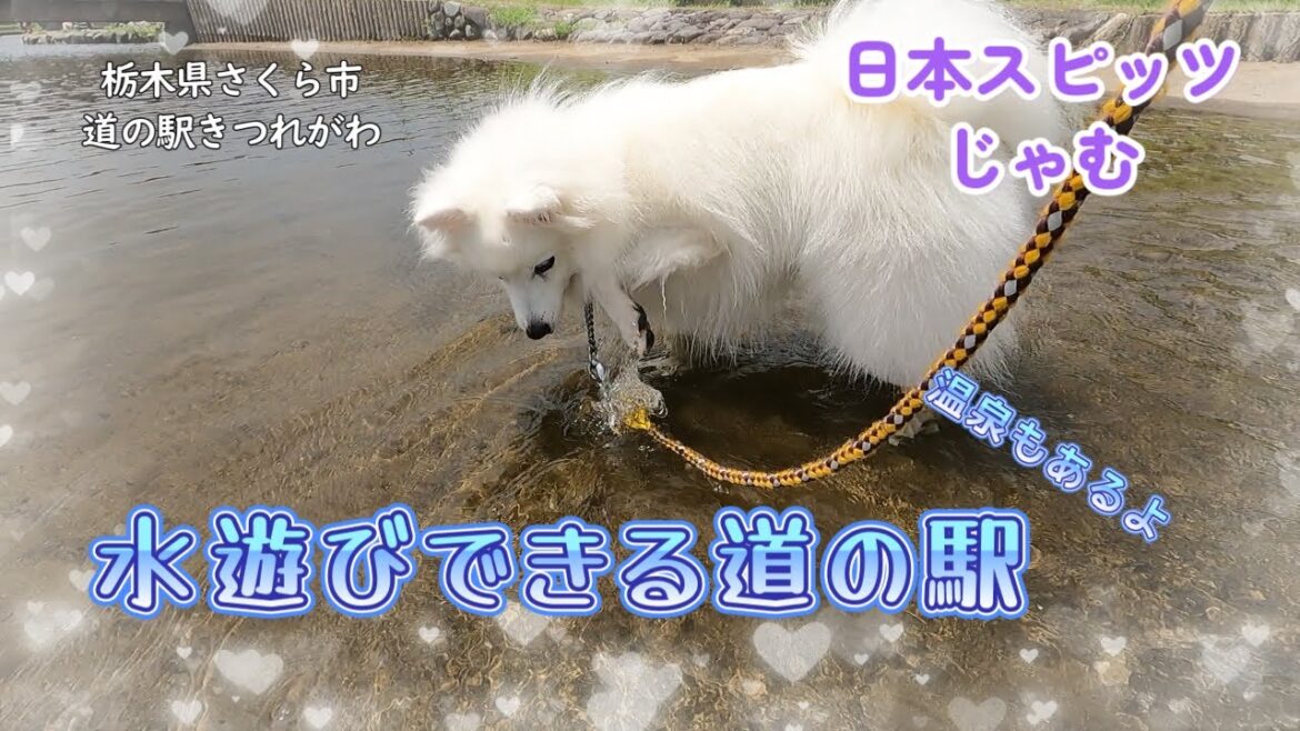 道の駅にある水辺公園が楽しかった【栃木県さくら市】【きつれがわ】