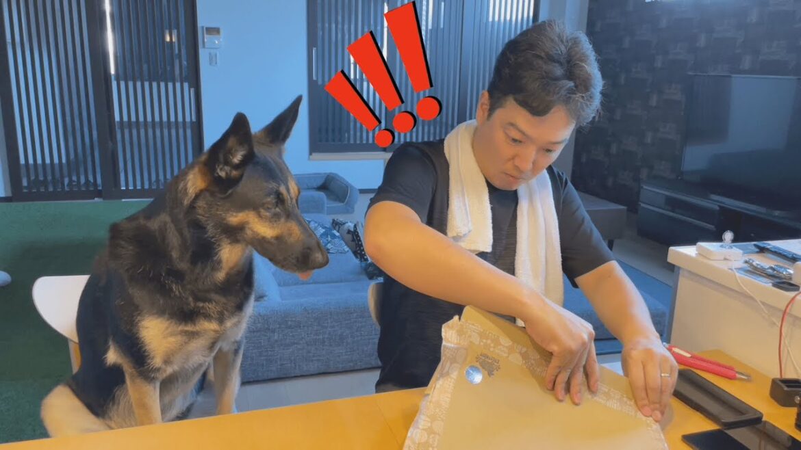 愛犬のオリジナルグッズをオーダーしたら、スゴイものが届きました！【ジャーマンシェパード】