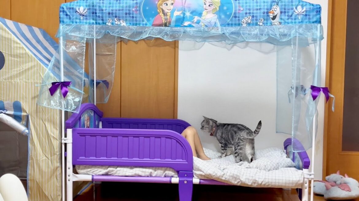 もちろんこれはあたしのベッドね もちろんこれはあたしのベッドね