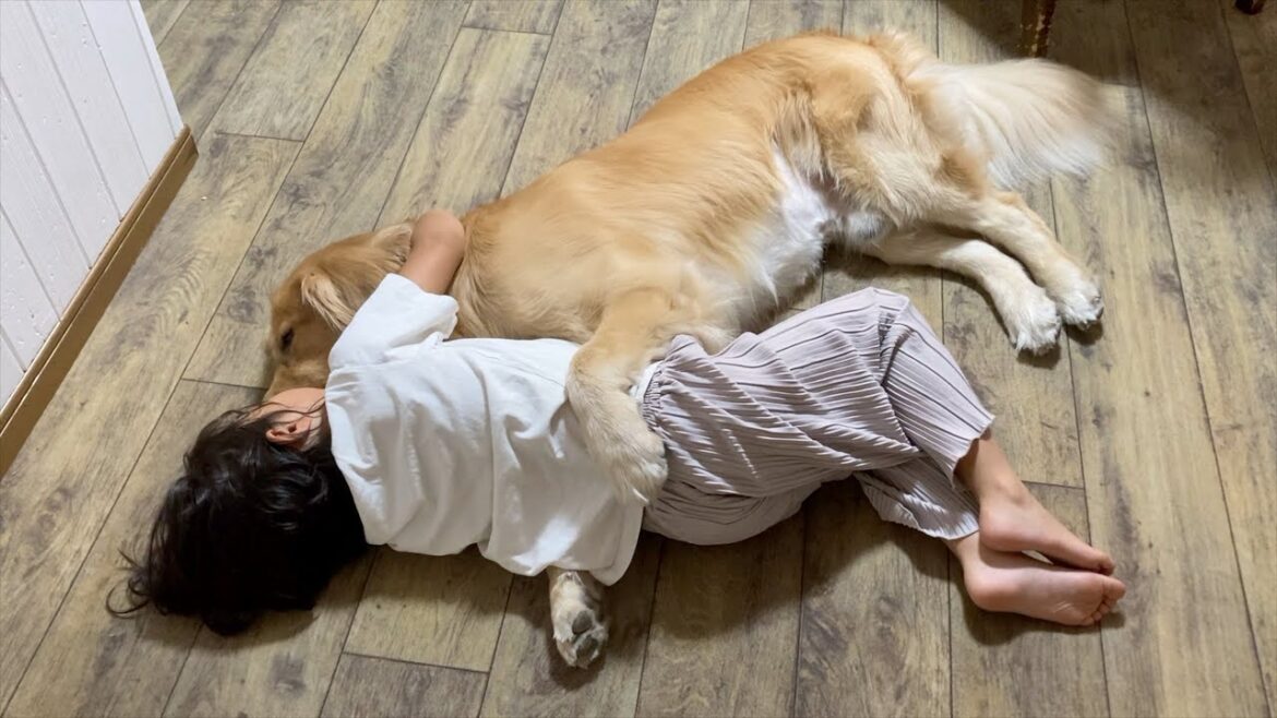 自分と同じくらい大きい愛犬を、抱き枕にするという贅沢 自分と同じくらい大きい愛犬を、抱き枕にするという贅沢