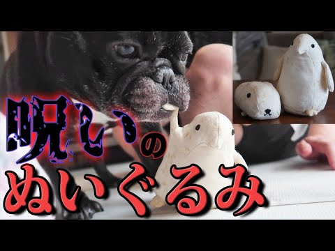 呪いのぬいぐるみを捨てます※手作り 呪いのぬいぐるみを捨てます※手作り