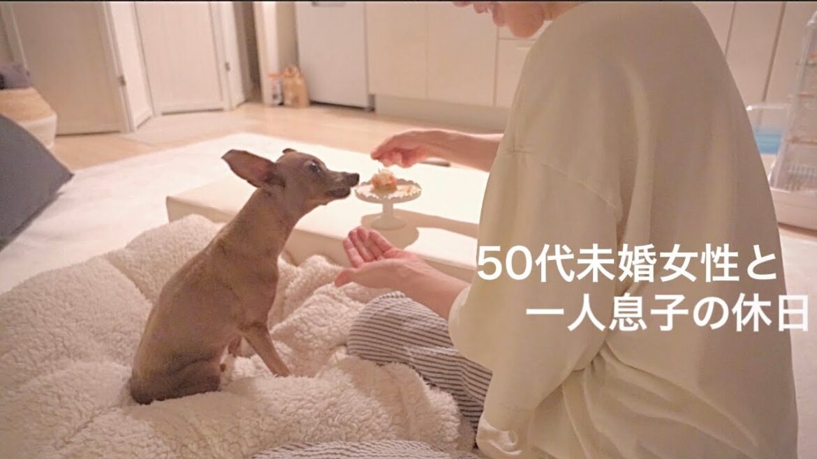 【50代、未婚、子無し】病から一ヶ月、リハビリを頑張った子鹿犬に最高の休日をプレゼント【ミニピン／元保護犬】