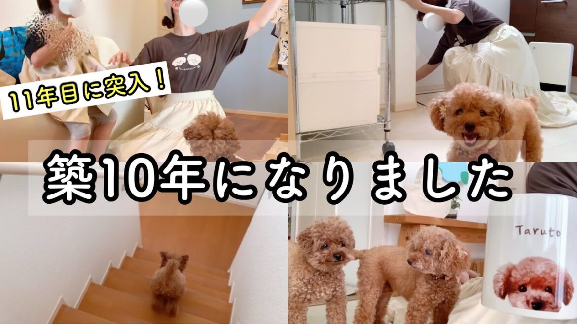 【vlog】10年点検の日✨️結婚と同時に建てたお家🏠トイプードルのTaruto＆Rasuku