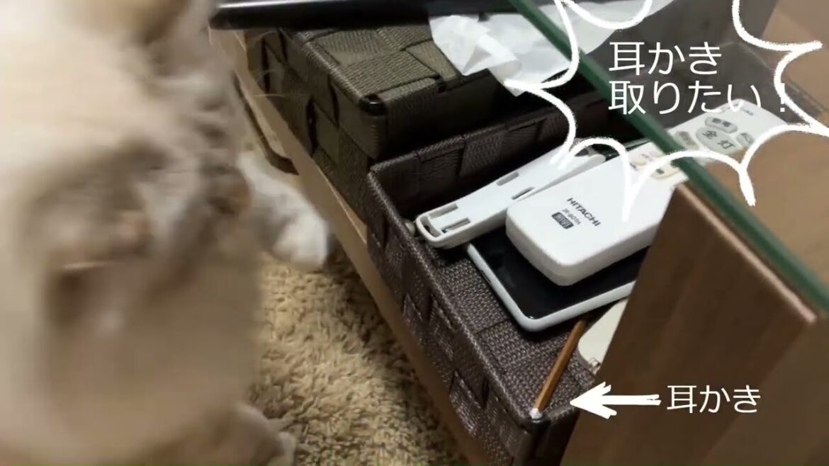 耳かき大好き