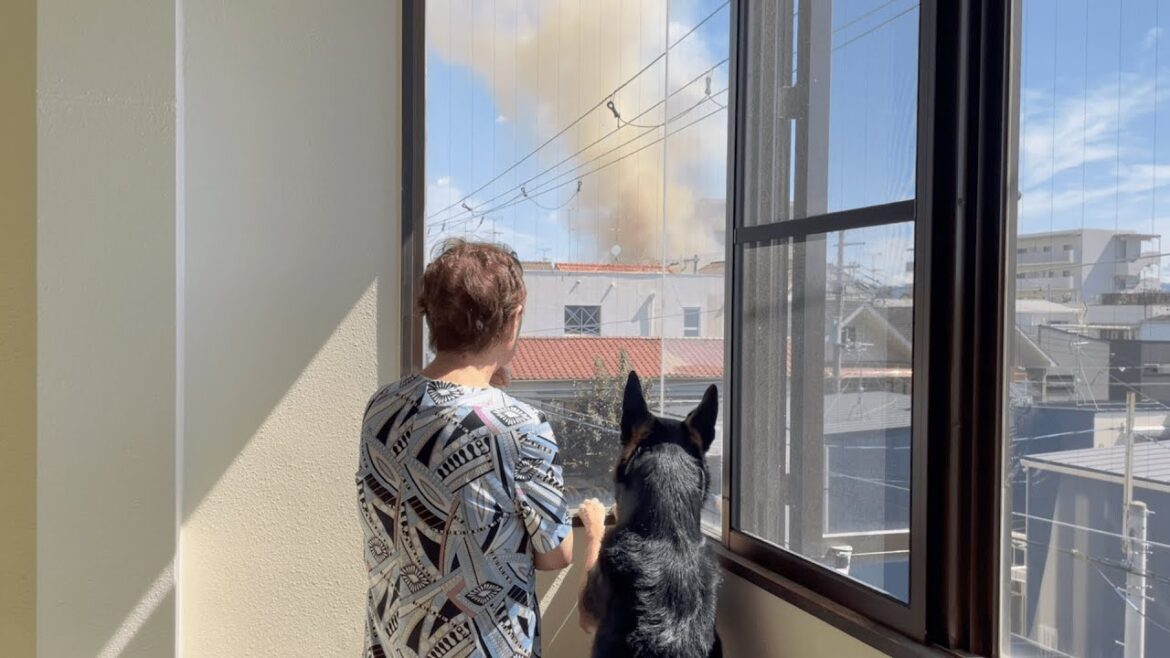 愛犬が吠えるので窓の外を見てみたら、火事でした・・・
