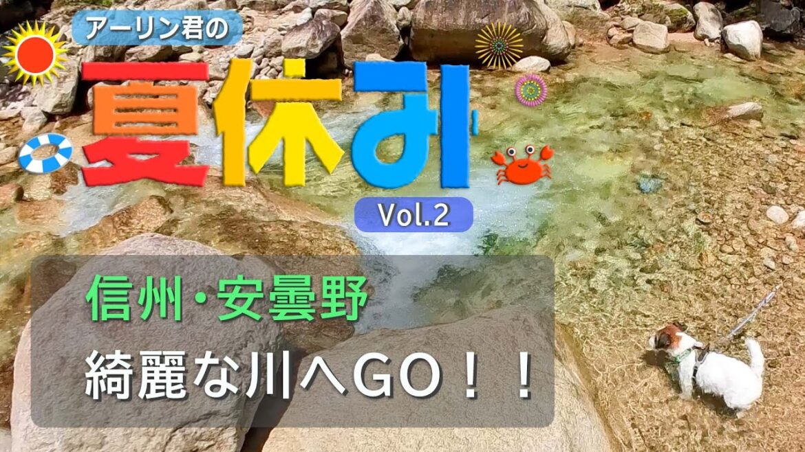 アーリン君の夏休み Vol.2　信州・安曇野 きれいな川にGO！