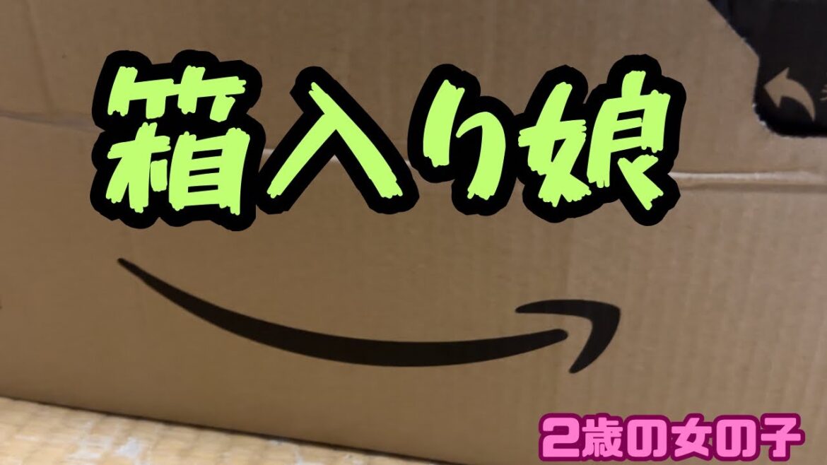 猫って箱好きよね！すぐ入る