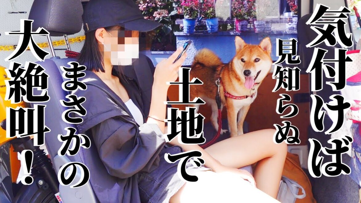 行き先が良く分からないまま父親に連れられたらとんでもない場所で娘大絶叫の連続！！！【イラスト復活】【柴犬・甲斐犬】