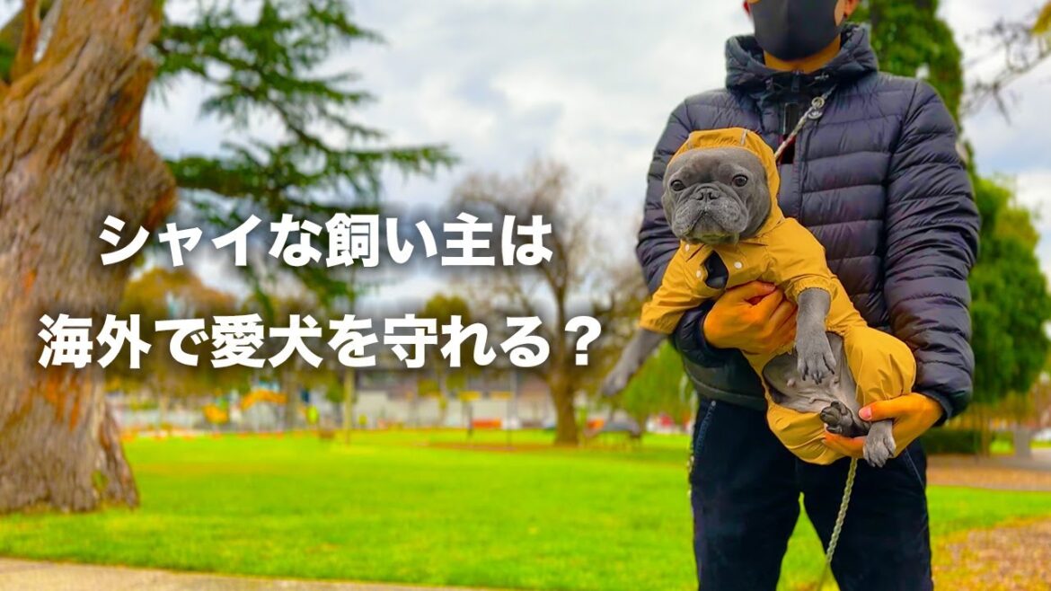 珍しく僕自身について少し話してみる…