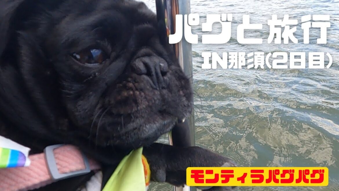 パグと旅行 in 那須（2日目）【モンティラパグパグ（pug2）】