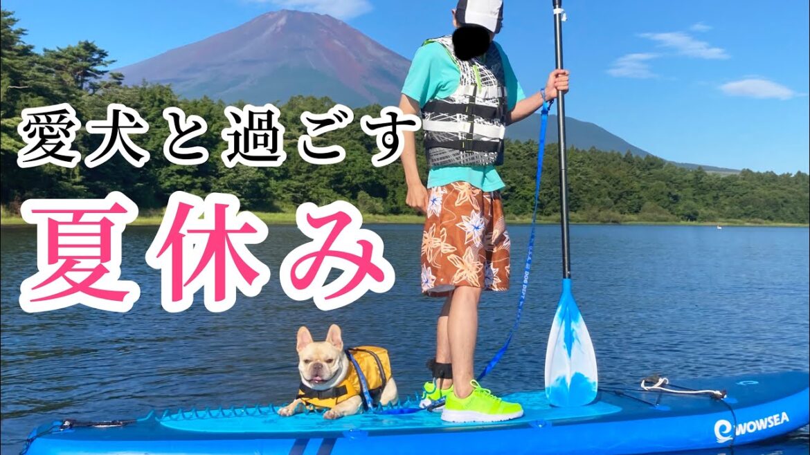 【最高かよ】愛犬と一緒に山中湖で夏を大満喫！ 超美味しい減農薬の桃を買いに山梨県甲府市へ🚗　#フレンチブルドッグ  #sup #初心者
