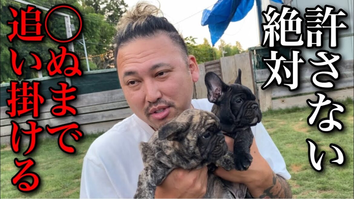 【炎上覚悟】マジで許せないYouTuberの顔と名前を晒します 【炎上覚悟】マジで許せないYouTuberの顔と名前を晒します