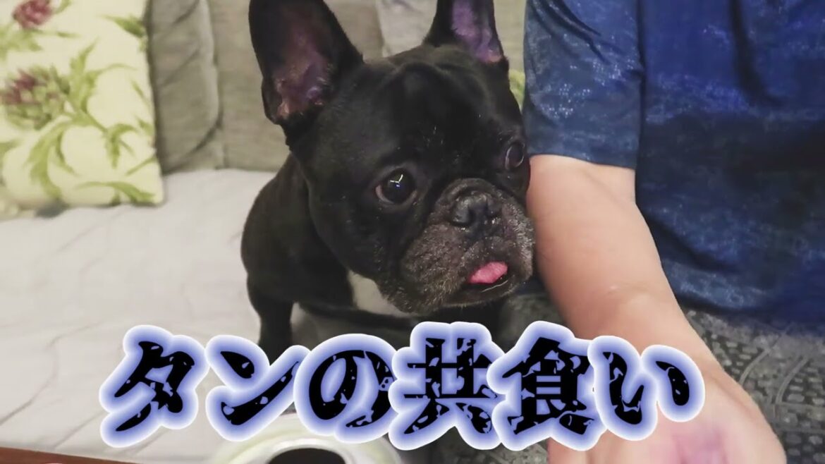 米から肉まで…妻が寝てる間に夫が用意した晩御飯 #パパ食堂