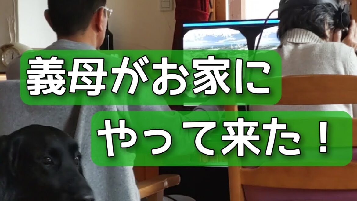 義母がお家にやって来た！【フラットコーテッドレトリーバー#68】