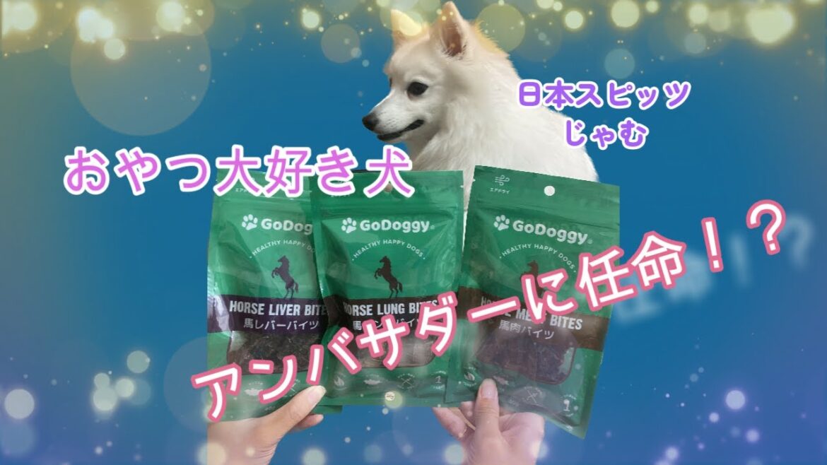 おやつは最高だ！！【犬用の高品質おやつ】日本スピッツじゃむ