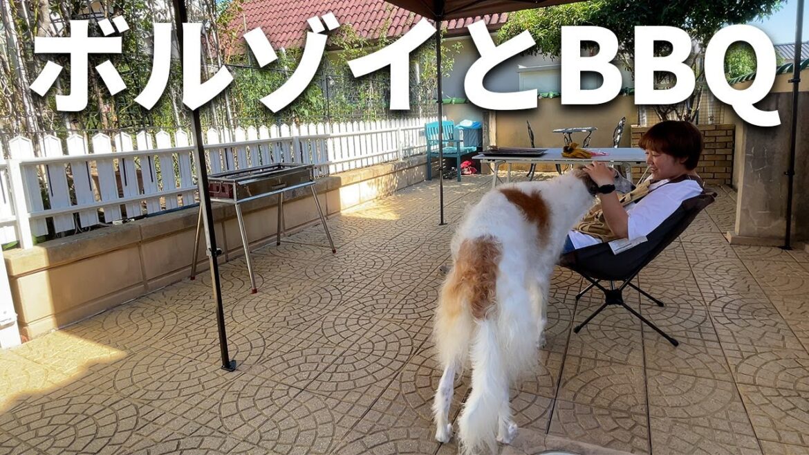 【快適な庭BBQ】家族で気兼ねなく過ごす庭でのBBQはお肉もハイボールも最高でした。