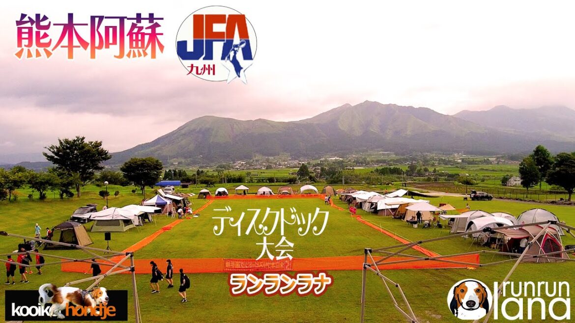 #89 JFAフリスビードック熊本大会！素晴らしい阿蘇の風景で愛犬とドックスポーツ！！
