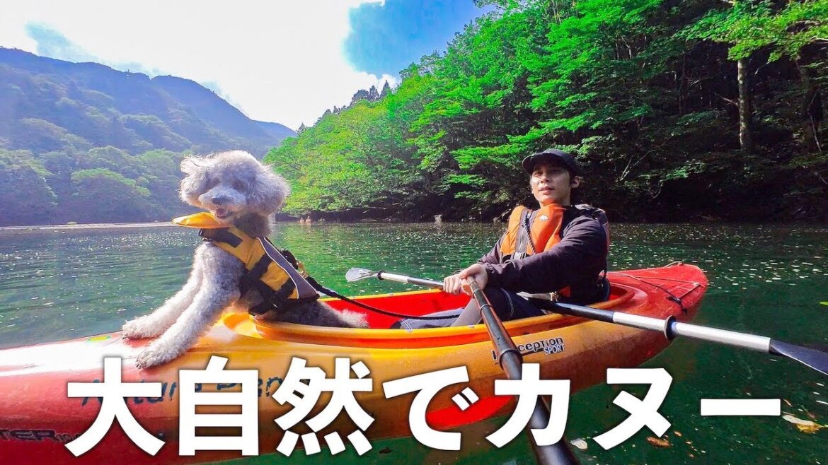 🐶大自然のカヌーで船長気分のトイプードルが可愛いwww【Insta360 GO 3】