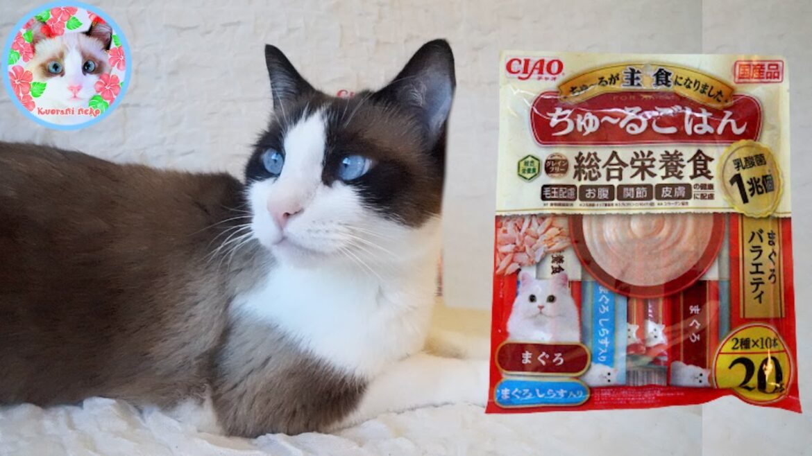 ちゅ～るごはんって何ですか？ Cat licking treats