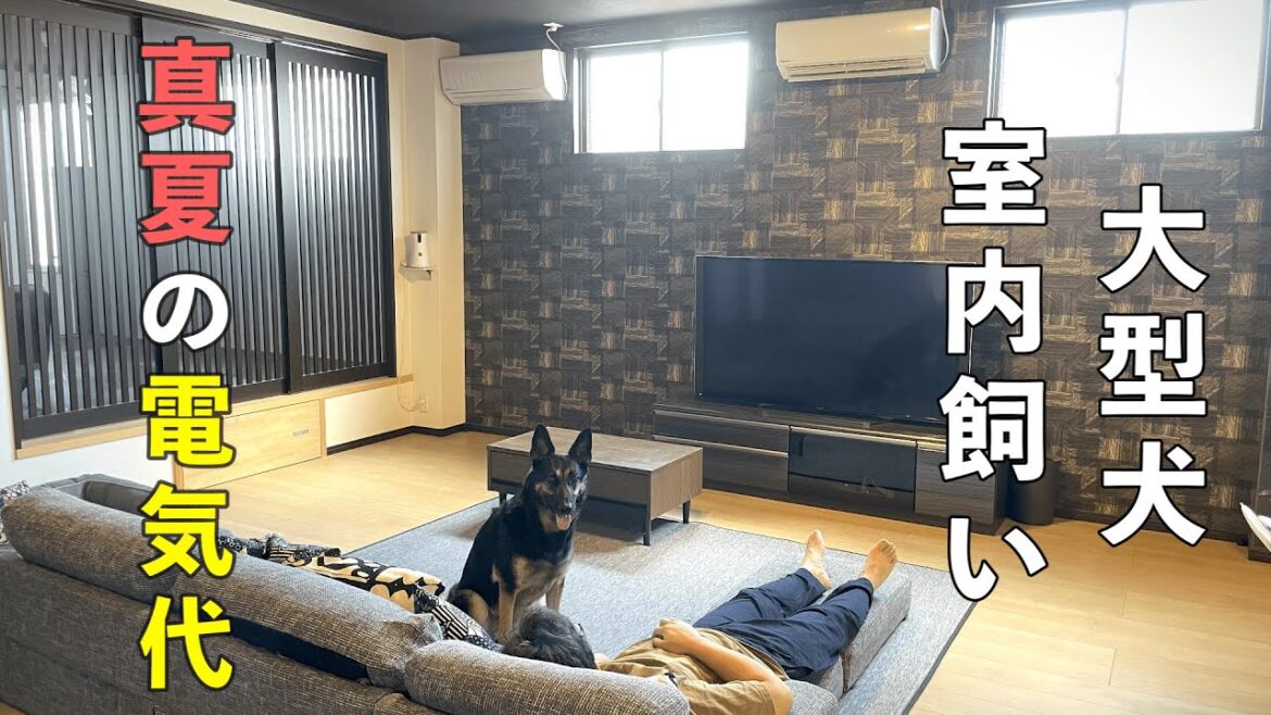 ジャーマンシェパードと暮らす我が家の8月の電気代を発表します！