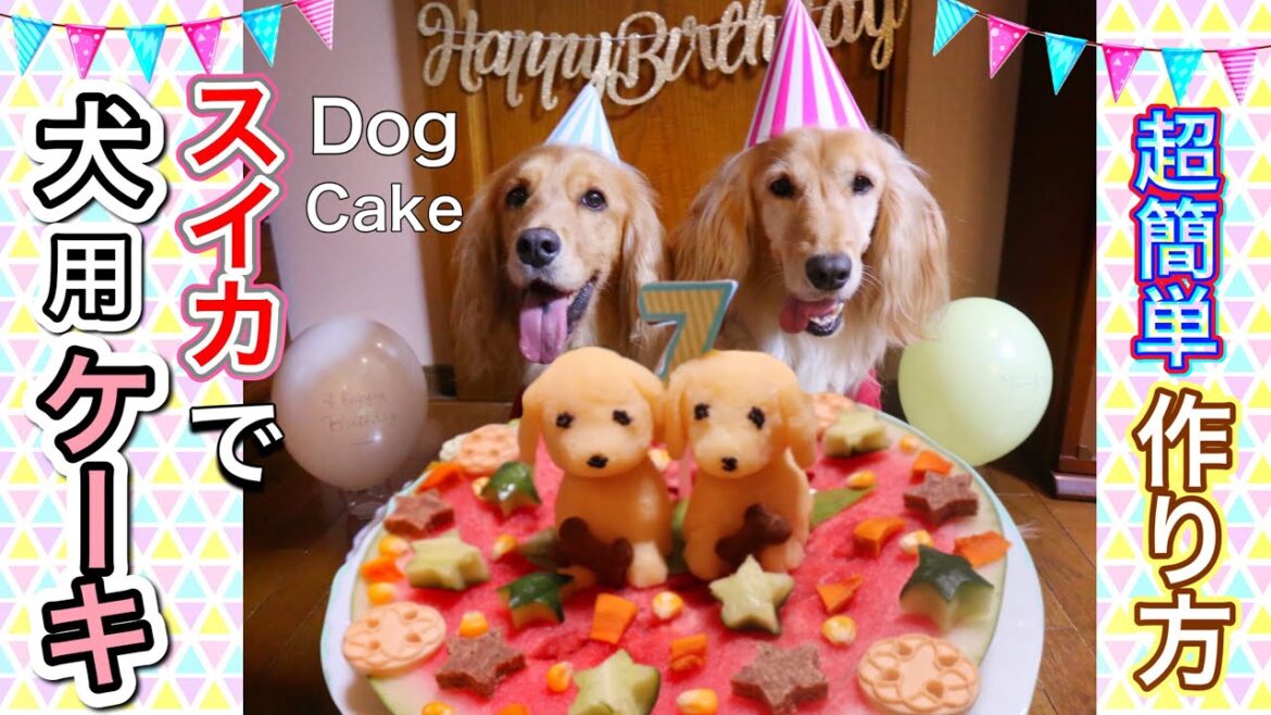 犬用ケーキの作り方～超簡単!! 犬の誕生日はスイカでケーキを手作り