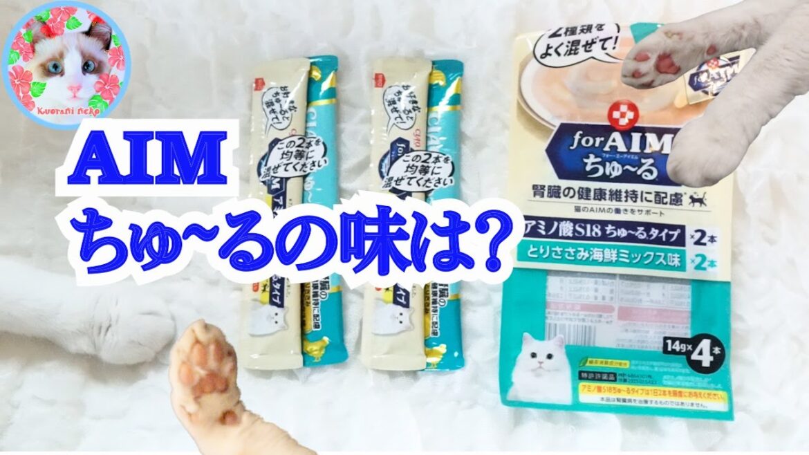 猫の腎臓病予防にAIMちゅーるっていいんですか? Treats to prevent kidney disease in cats