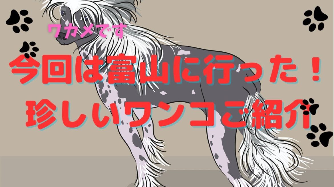 ペット業界の裏事情とぼやき