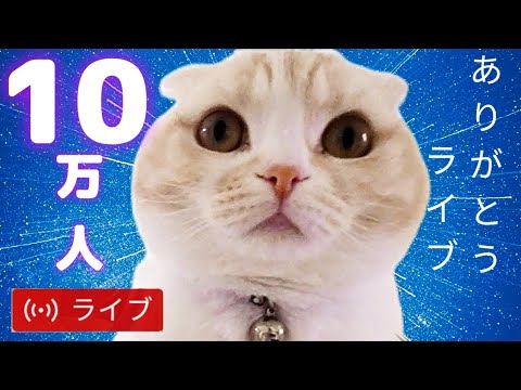 感謝ライブ 10万人ありがとう 感謝ライブ 10万人ありがとう