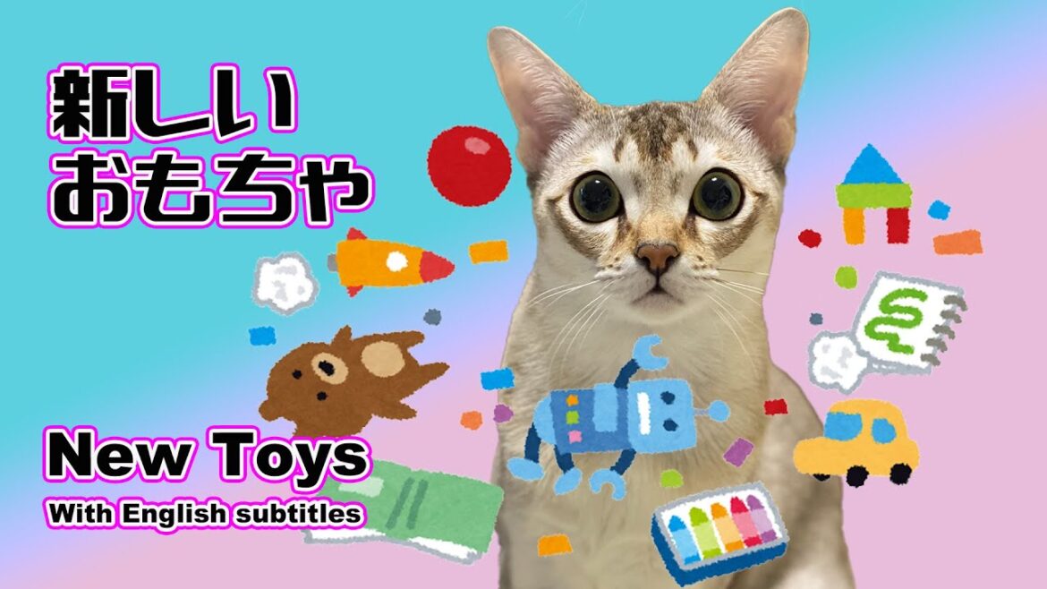 【シンガプーラ】新しいおもちゃで狩の練習している猫がこちらです!生後5ヶ月目!Practice hunting with new toys!#kitten #cat #animals 【シンガプーラ】新しいおもちゃで狩の練習している猫がこちらです!生後5ヶ月目!Practice hunting with new toys!#kitten #cat #animals