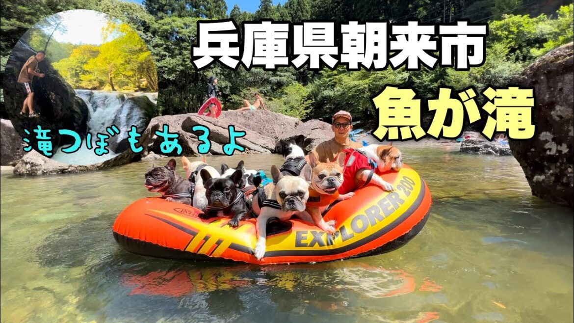 【犬連れ川遊び】圧巻の10ブヒボートで最高に癒された休日！