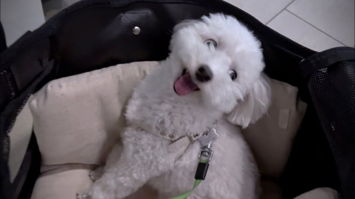 【終焉】地獄の日々からようやく解放されそうです