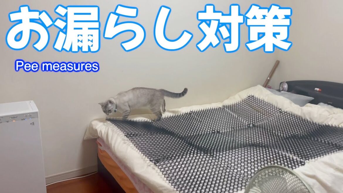 100均の猫よけマットで布団のおしっこ対策