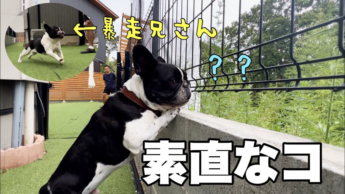 超天然ピュアボーイ！わが家の4男坊が5歳になった朝のようす