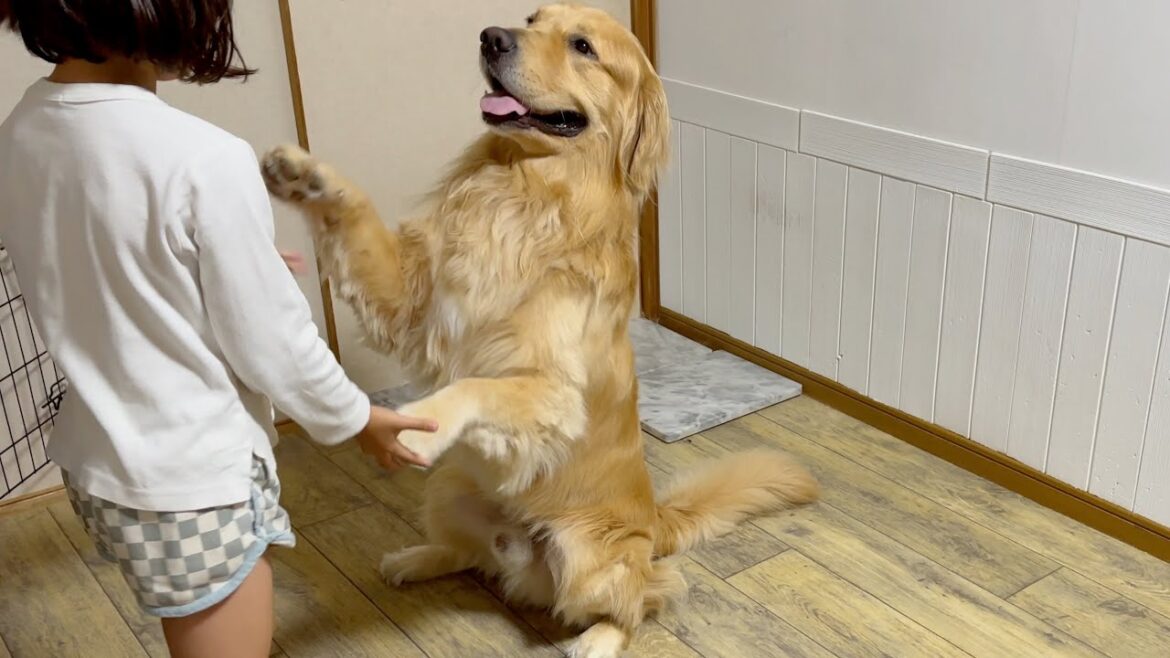 愛犬なりの姉への優しさが、甘え方を見てるとよく分かる