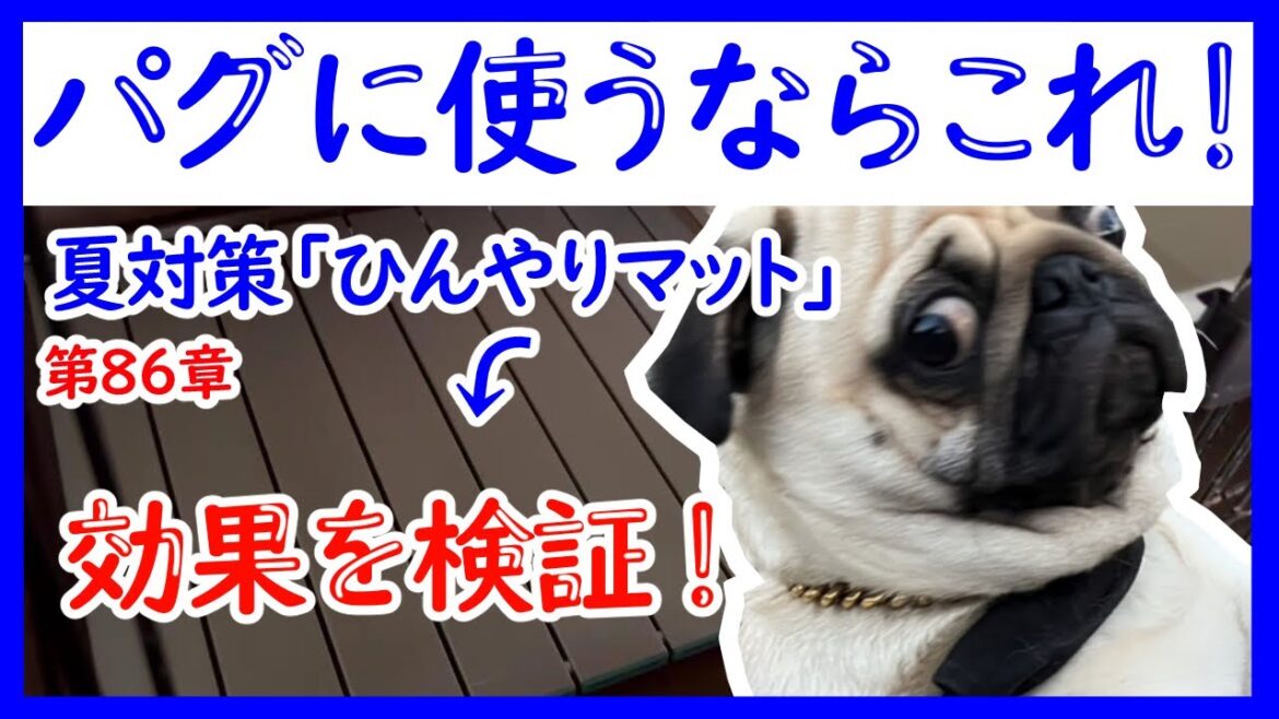 パグの夏の暑さ対策オススメのひんやりマット
