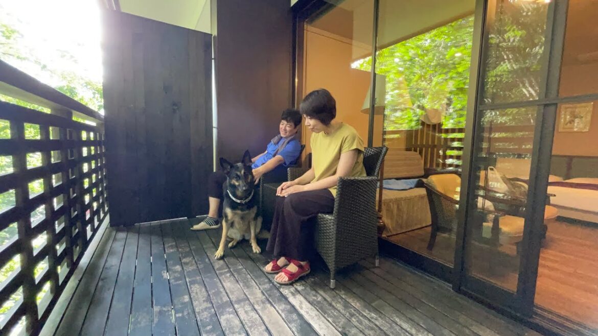 暑がりのジャーマンシェパードも超快適!とっておきの避暑地旅してきました! 暑がりのジャーマンシェパードも超快適!とっておきの避暑地旅してきました!