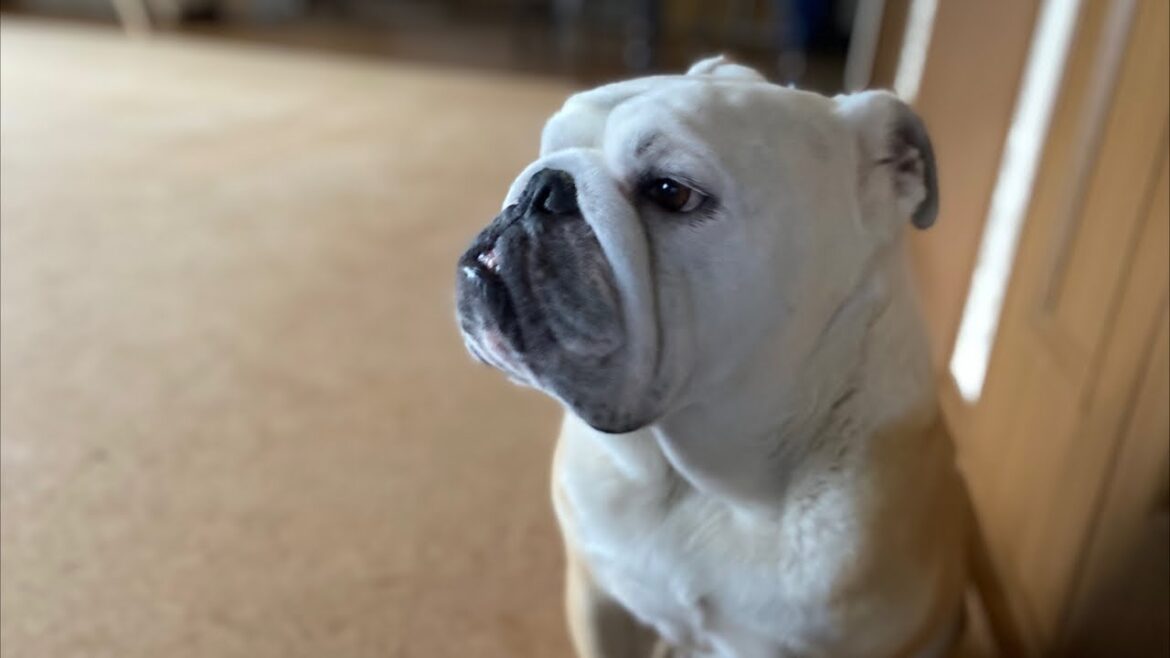 ☆ライブ☆久しぶりに家族全員集合スペシャル♪♪