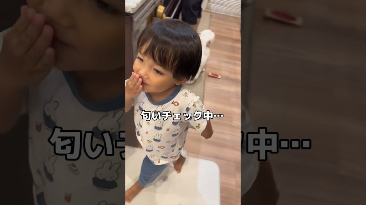 フレンチブルドッグの口の匂いを3歳児がチェックした結果… #shorts #愛犬