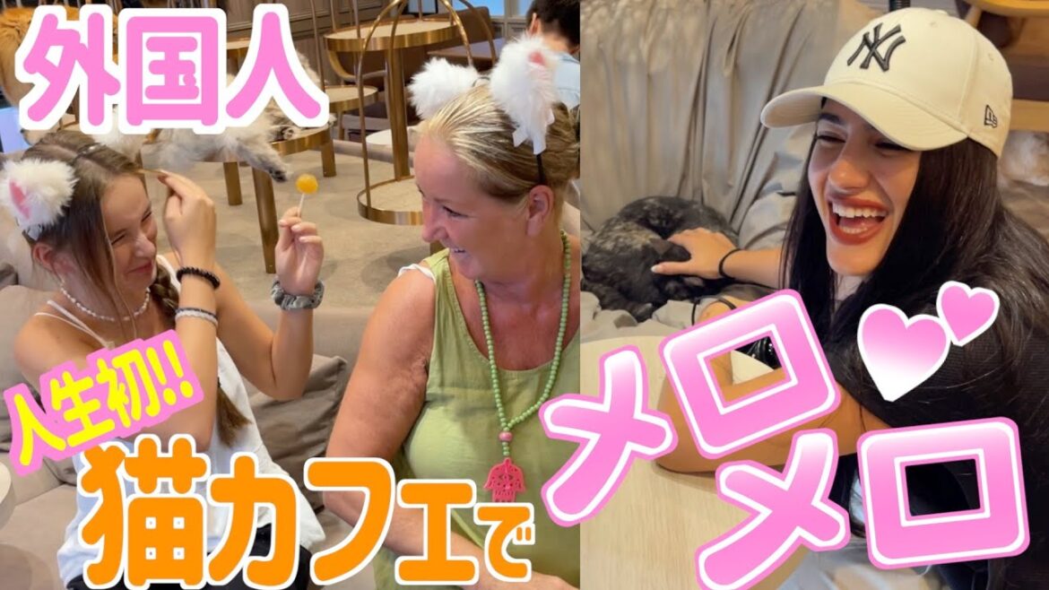 猫好き外国人、人生初日本の猫カフェに大感動！！