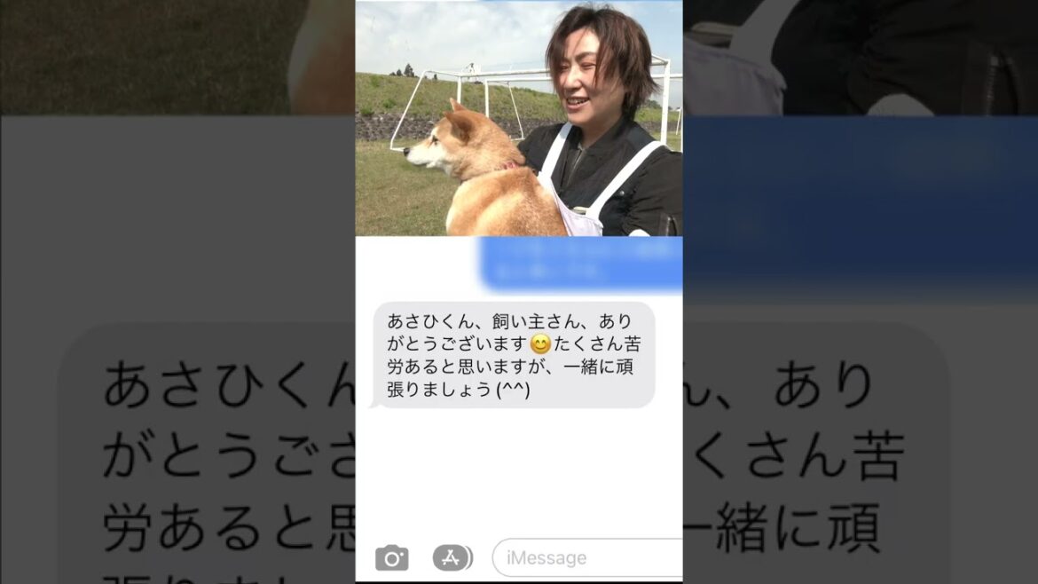 嘱託警察犬審査会の映像を見る秋田犬あさひ君