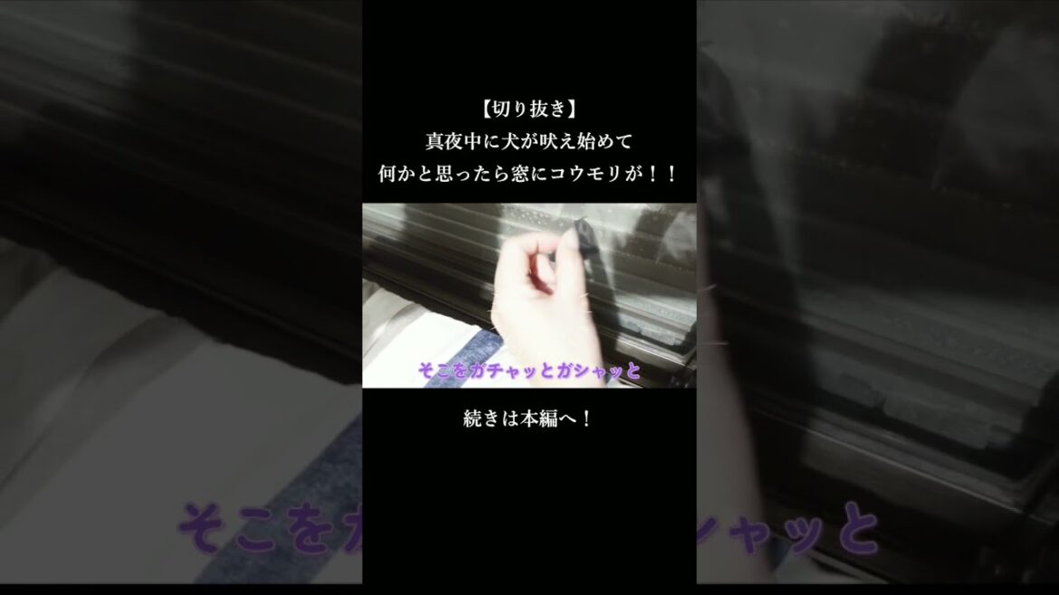 【切り抜き】家の窓にコウモリが挟まってる!甲斐犬大興奮で大変な事に!! #甲斐犬#vlog #youtubeshorts 【切り抜き】家の窓にコウモリが挟まってる!甲斐犬大興奮で大変な事に!! #甲斐犬#vlog #youtubeshorts