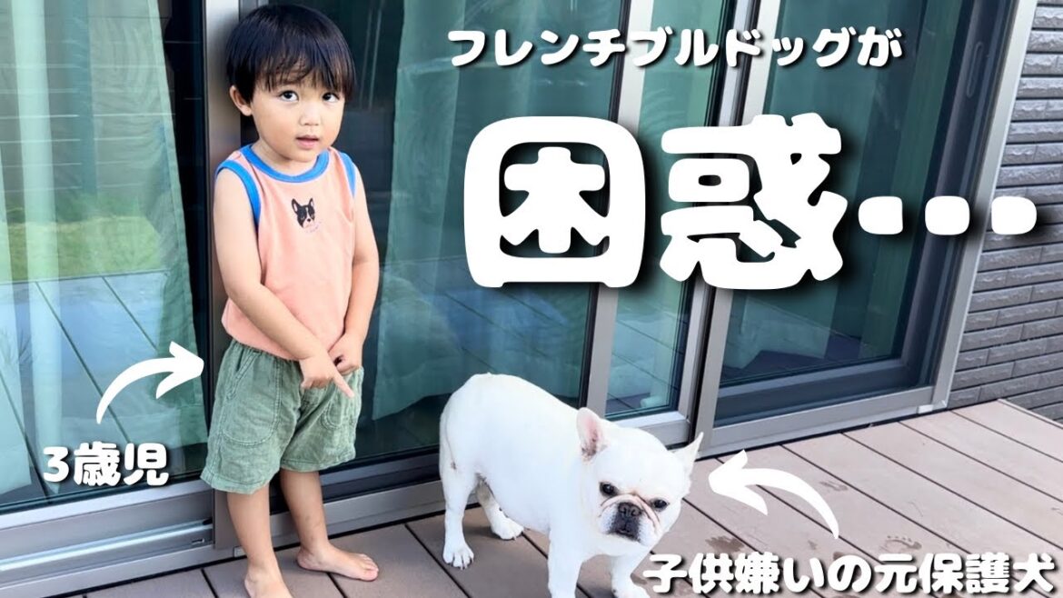 3歳児が愛犬に全力でお願い事をした結果…